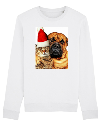 Dogs and cat in Christmas spirit White