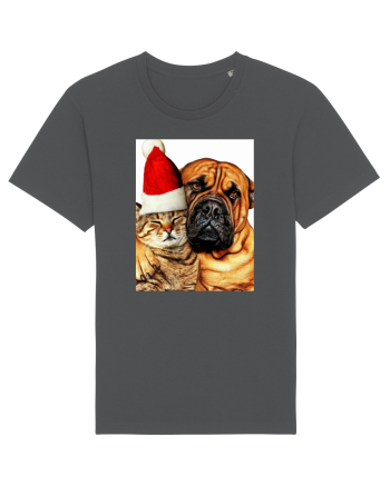 Dogs and cat in Christmas spirit Anthracite