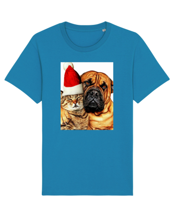 Dogs and cat in Christmas spirit Azur