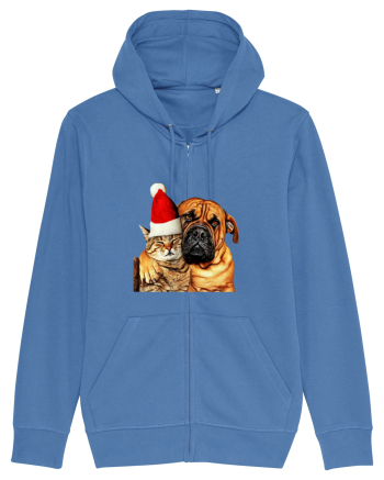 Dogs and cat in Christmas spirit Bright Blue