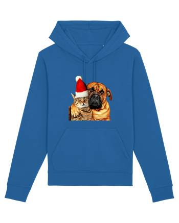 Dogs and cat in Christmas spirit Royal Blue