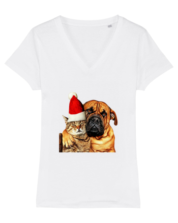 Dogs and cat in Christmas spirit White