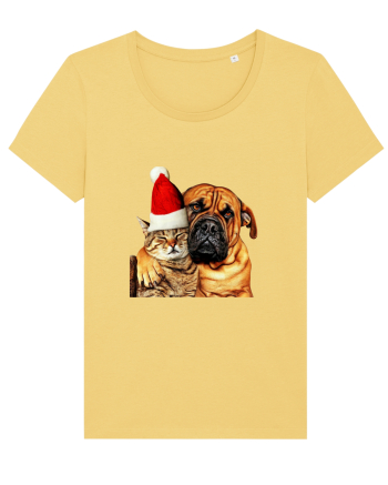 Dogs and cat in Christmas spirit Jojoba
