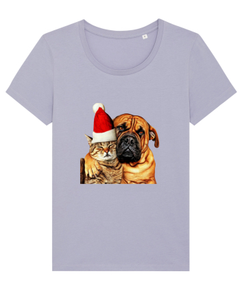 Dogs and cat in Christmas spirit Lavender