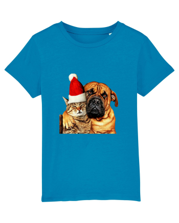 Dogs and cat in Christmas spirit Azur