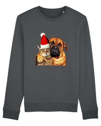 Dogs and cat in Christmas spirit Anthracite
