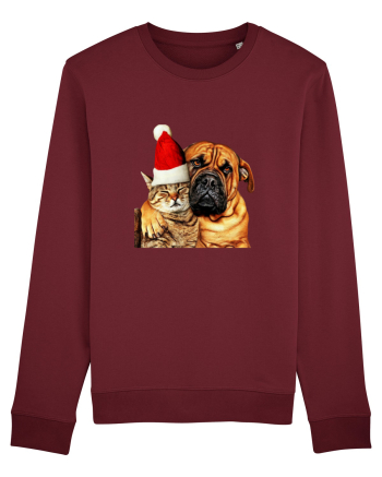 Dogs and cat in Christmas spirit Burgundy