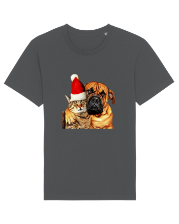 Dogs and cat in Christmas spirit Anthracite
