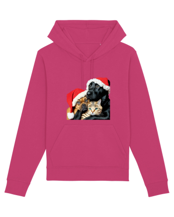 Dogs and cat in Christmas spirit Raspberry
