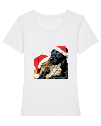 Dogs and cat in Christmas spirit White