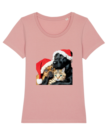 Dogs and cat in Christmas spirit Canyon Pink