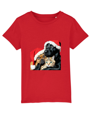 Dogs and cat in Christmas spirit Red