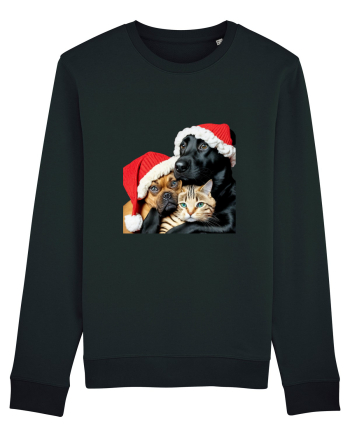 Dogs and cat in Christmas spirit Black