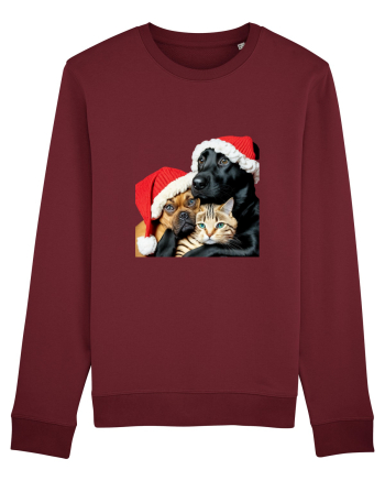 Dogs and cat in Christmas spirit Burgundy