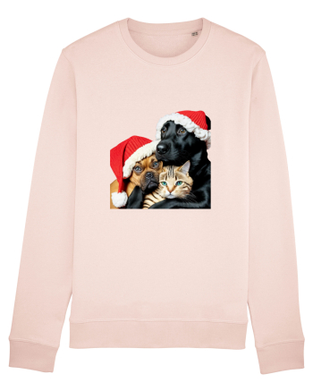 Dogs and cat in Christmas spirit Candy Pink