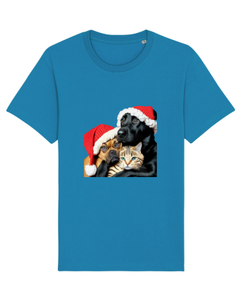 Dogs and cat in Christmas spirit Azur