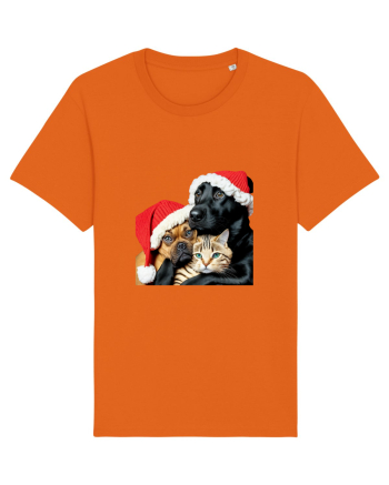 Dogs and cat in Christmas spirit Bright Orange