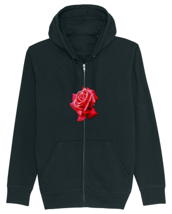 Red rose Black