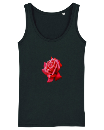 Red rose Black