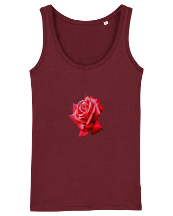Red rose Burgundy