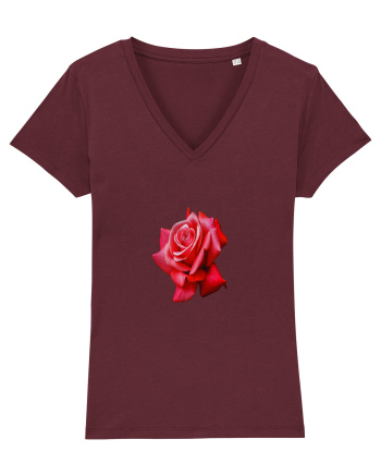 Red rose Burgundy