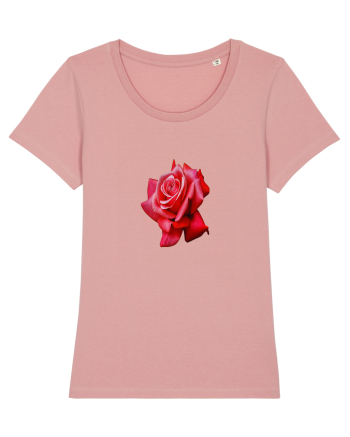Red rose Canyon Pink