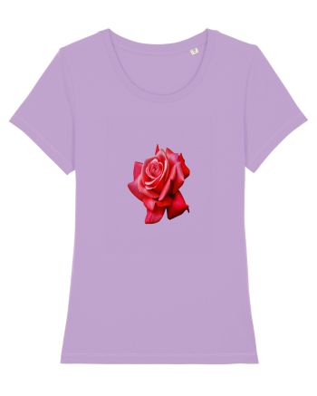 Red rose Lavender Dawn
