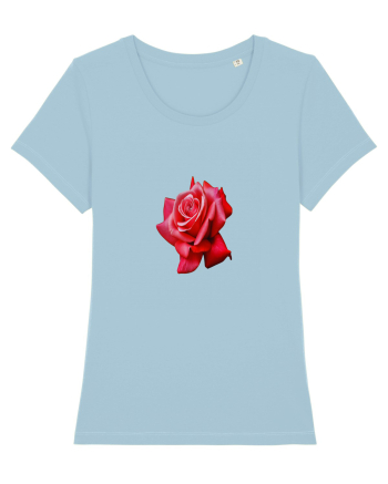 Red rose Sky Blue