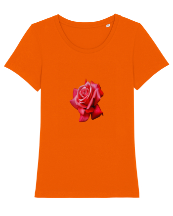 Red rose Bright Orange