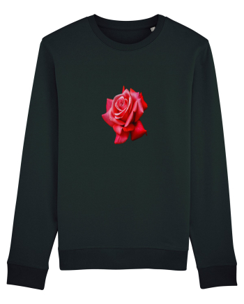 Red rose Black