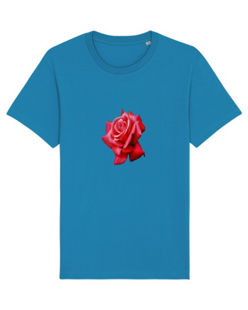 Red rose Azur