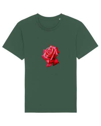 Red rose Bottle Green