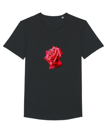 Red rose Black