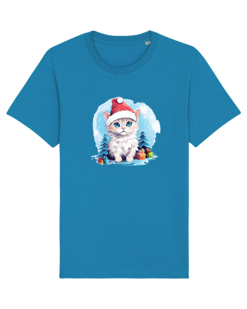 Christmas cat Azur