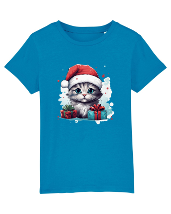 Christmas cat Azur