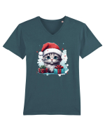 Christmas cat Tricou mânecă scurtă guler V Bărbat Presenter