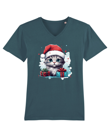 Christmas cat Stargazer