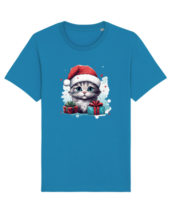 Christmas cat Azur