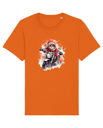 Rocker Cat Bright Orange