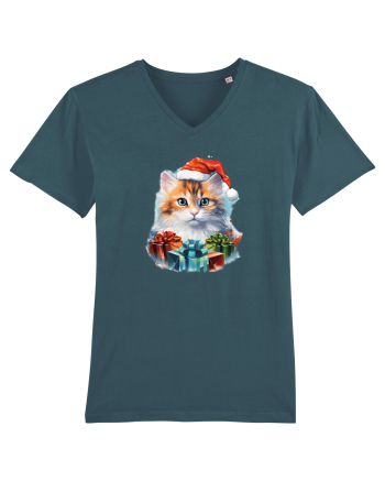 Christmas cat Stargazer