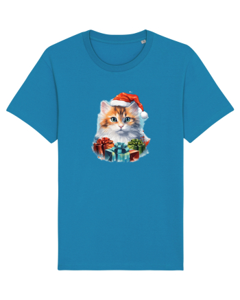 Christmas cat Azur