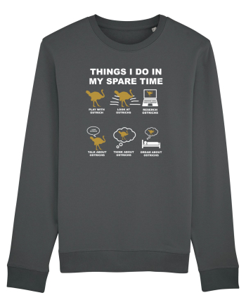 Ostrich Anthracite