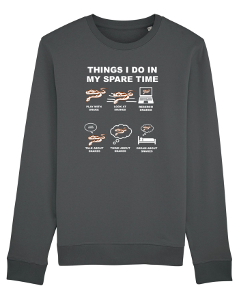SNAKE Anthracite