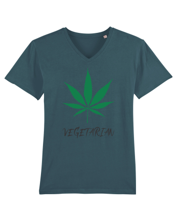 Vegetarian Stargazer