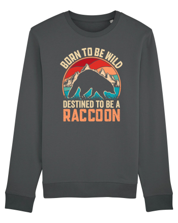 Born to be wild destined to be a raccoon Anthracite