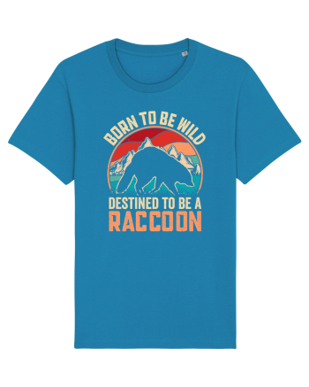 Born to be wild destined to be a raccoon Azur