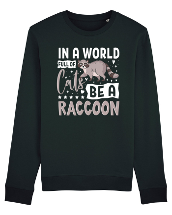 In a world full of cats be a raccoon Black