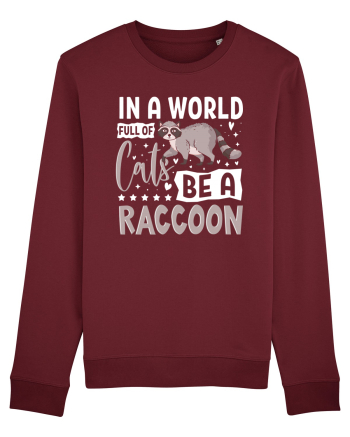 In a world full of cats be a raccoon Burgundy