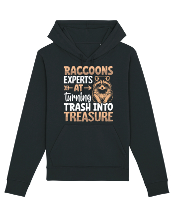 Raccoons experts at turning trash into treasure Black