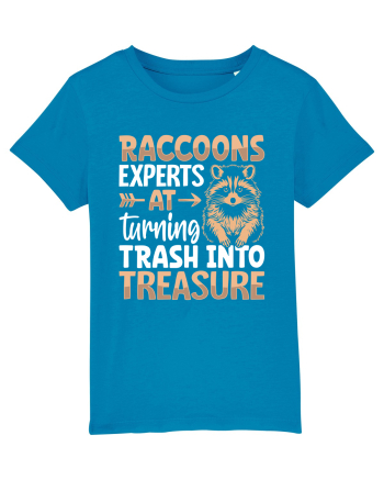 Raccoons experts at turning trash into treasure Azur